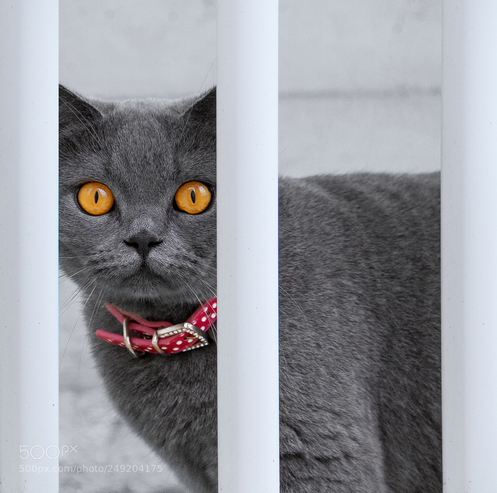 Canon EOS 7D sample photo. Untitled photography