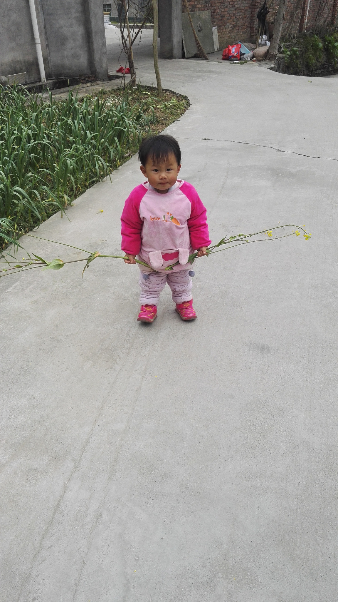HUAWEI Honor 7 sample photo