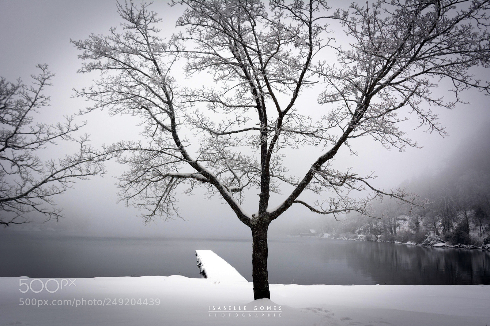 Nikon D7100 sample photo. Lac ponton neige photography