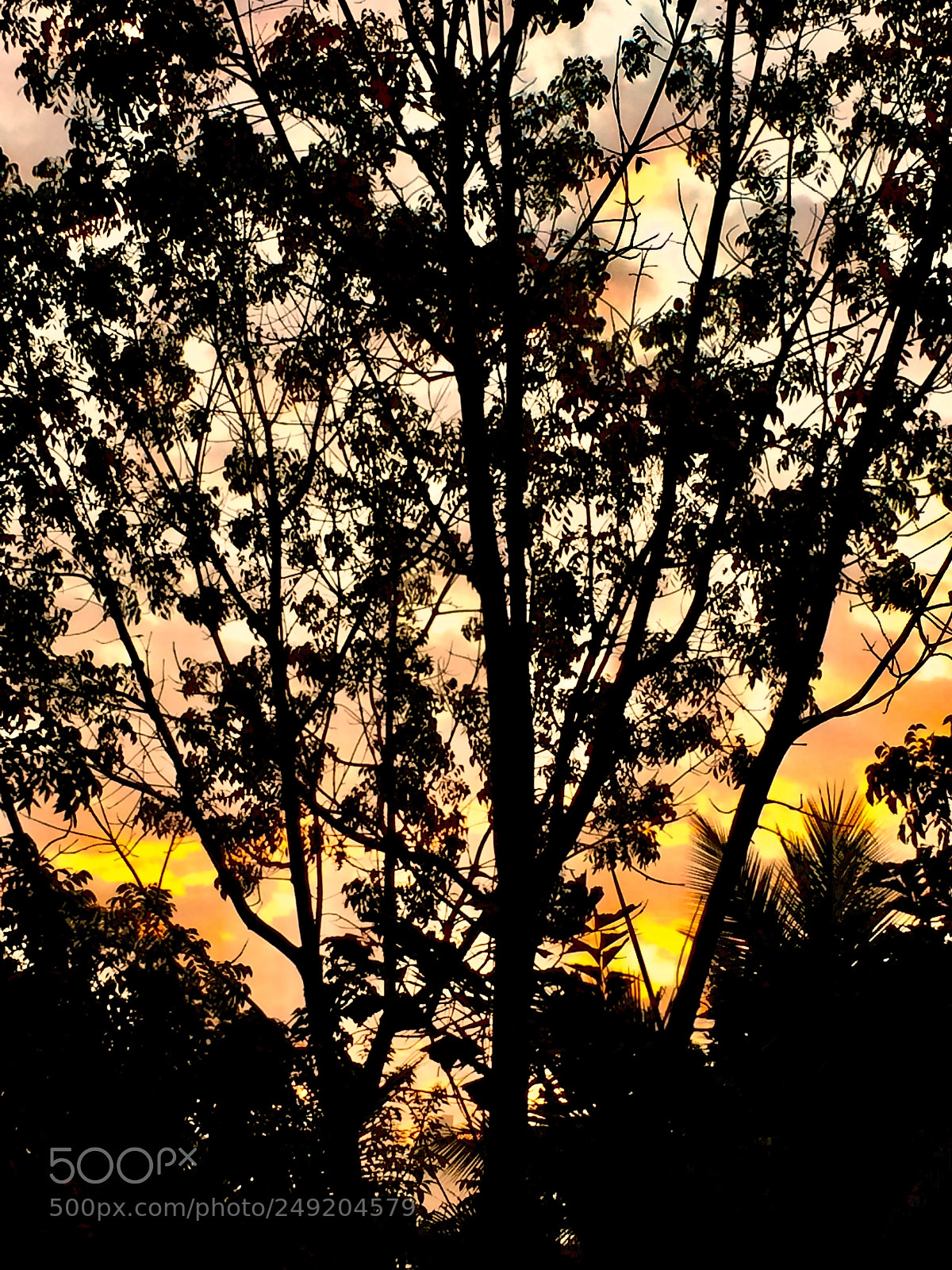 Apple iPhone 5s sample photo. Sunrise from my balcony ! photography