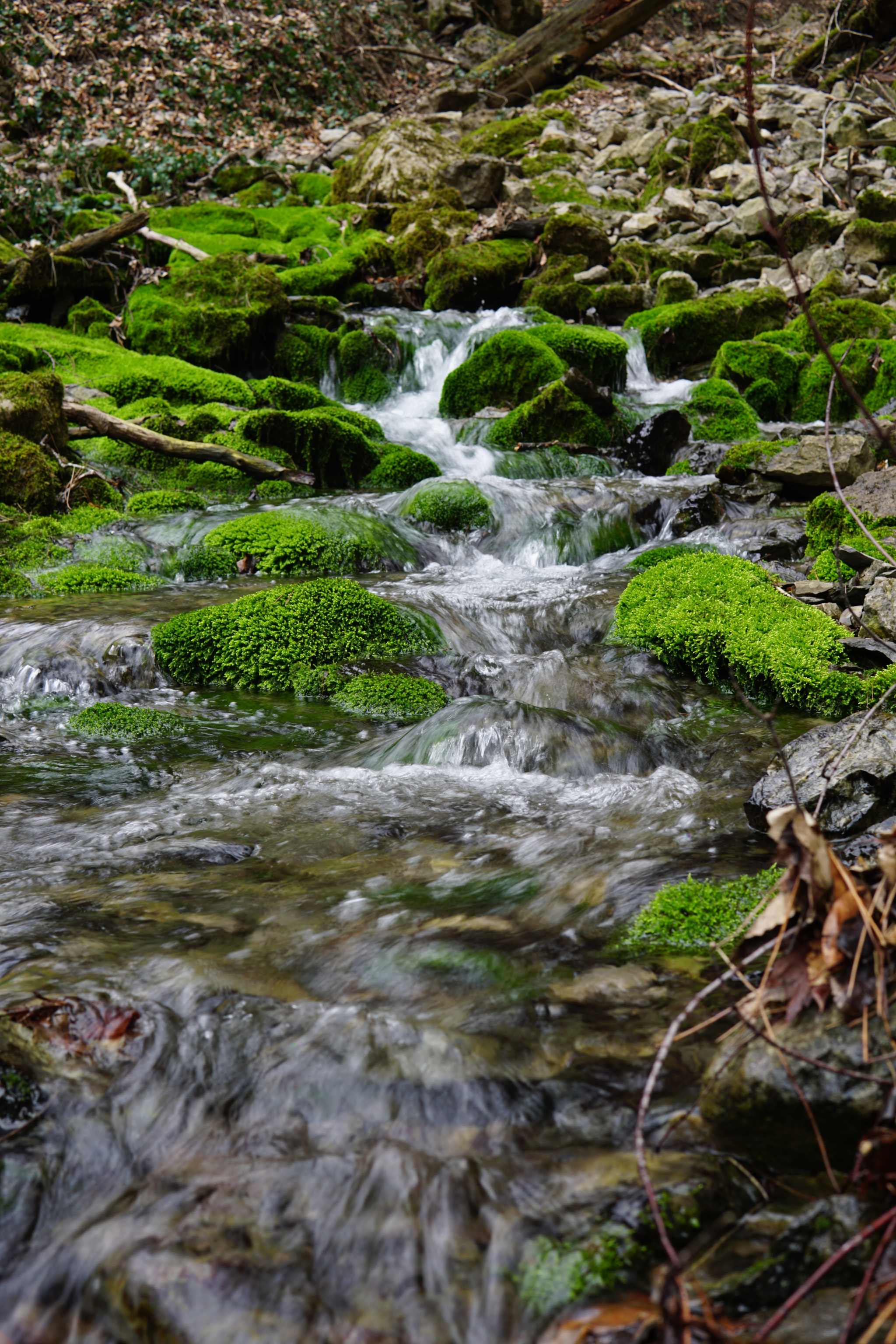 Sony a6000 + Sigma 30mm F1.4 DC DN | C sample photo. Waterfallon spring photography