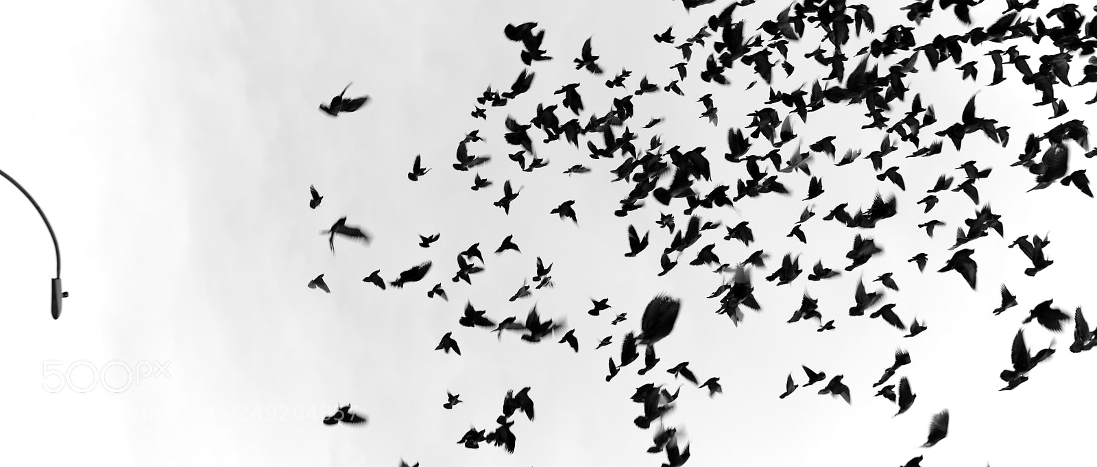 Sony a7R II sample photo. Flight from light photography