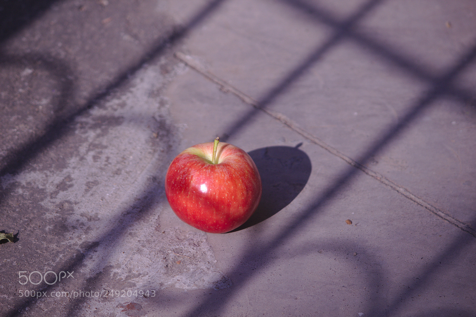 Canon EF-S 55-250mm F4-5.6 IS II sample photo. Shadow of a gate photography