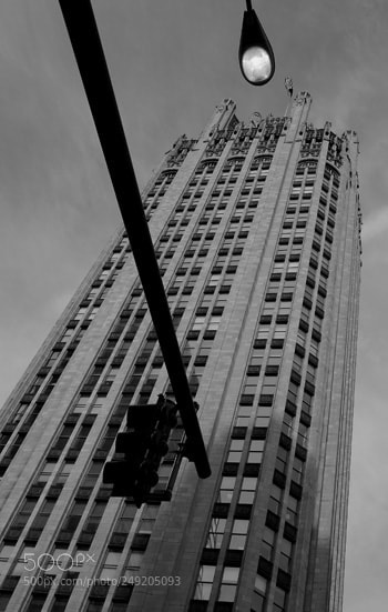 Nikon D60 sample photo. Td photography