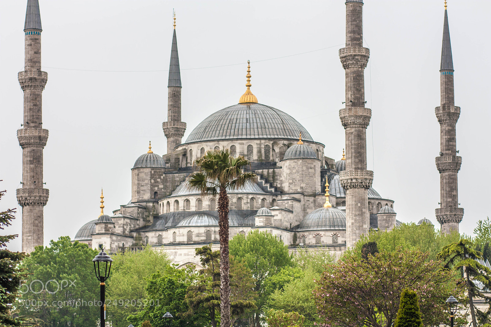 Canon EOS 450D (EOS Rebel XSi / EOS Kiss X2) sample photo. Blue mosque domes photography