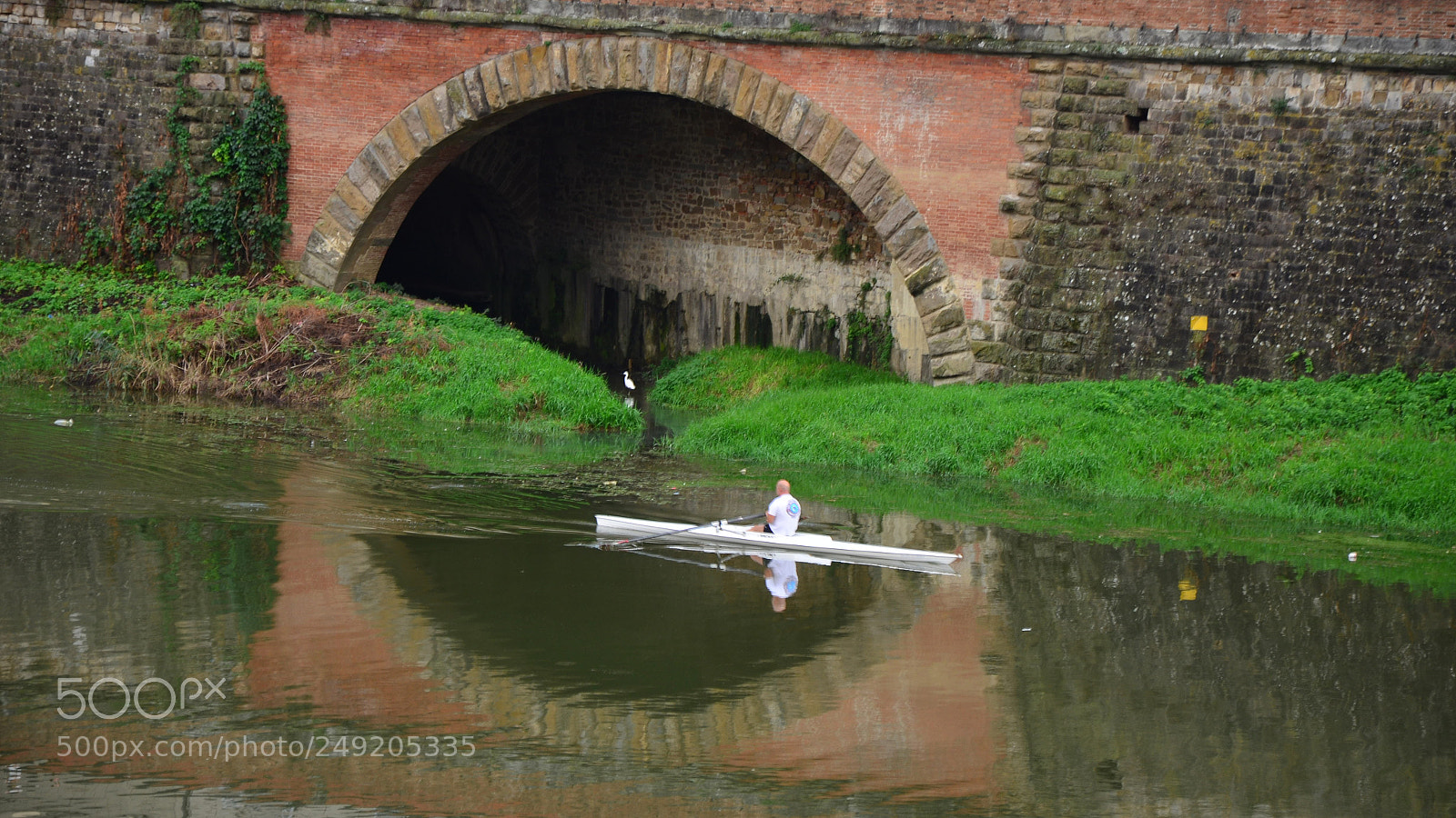 Nikon D5100 sample photo. Ah photography