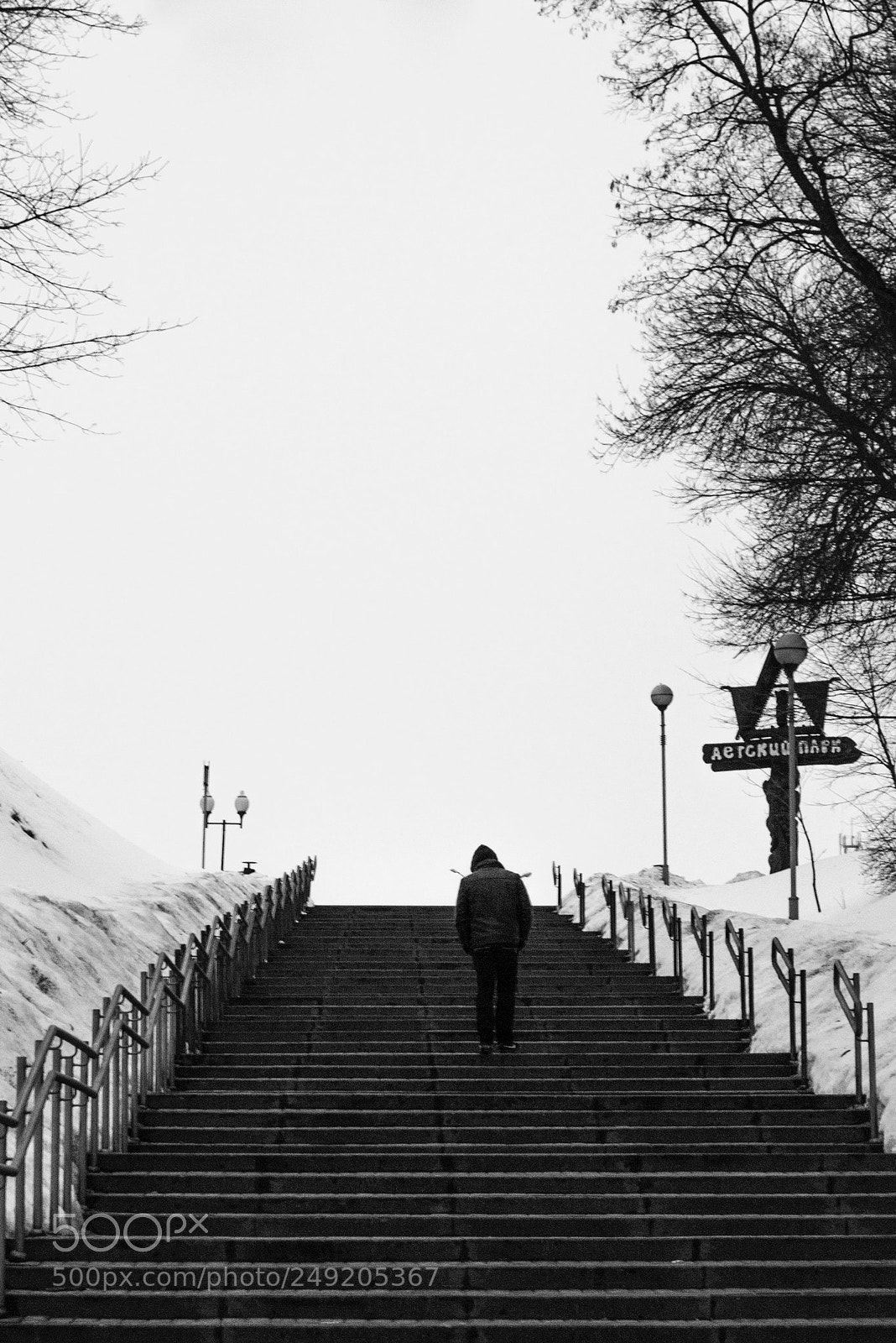 Nikon D3100 sample photo. Step up photography