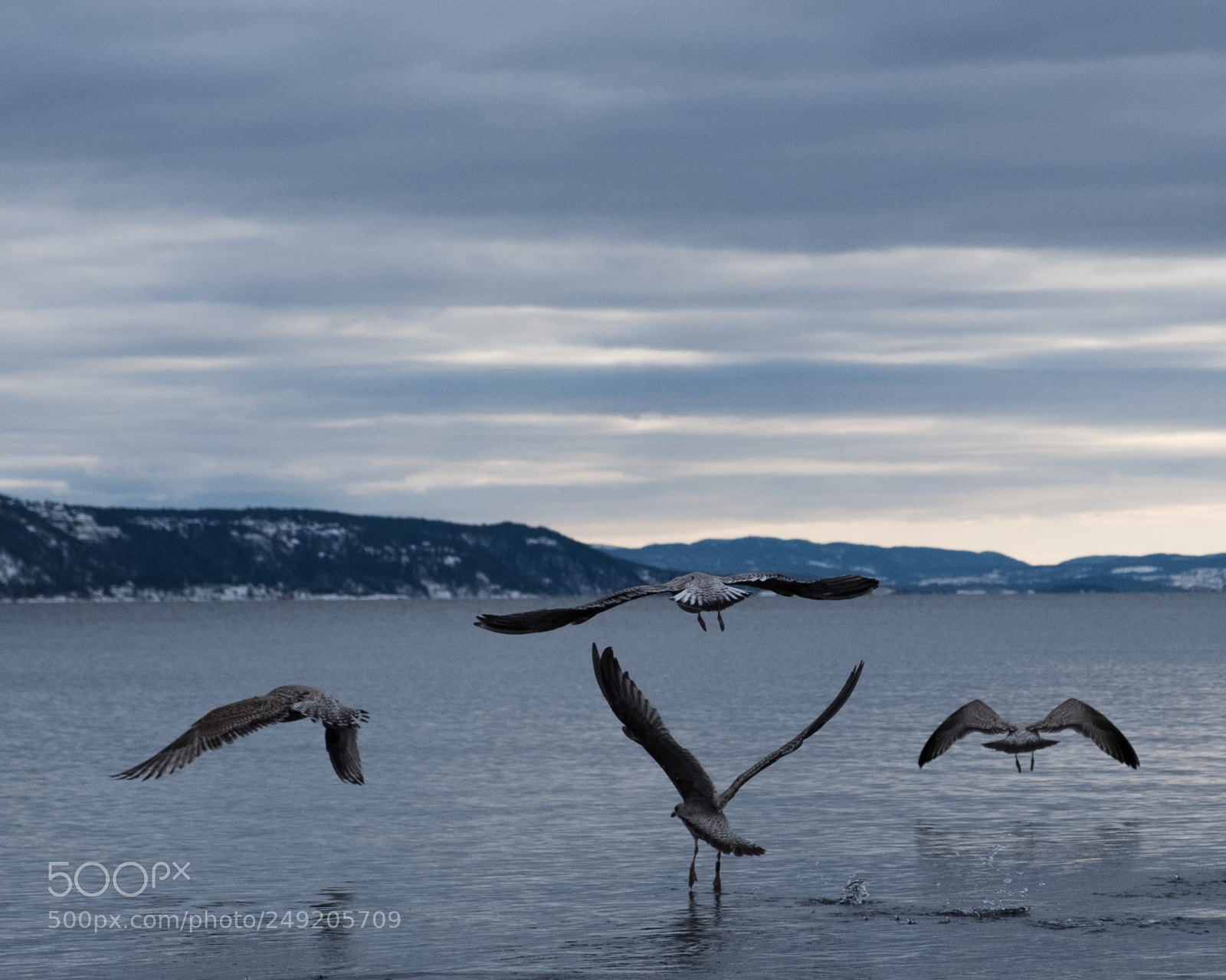 Fujifilm X-T20 sample photo. Untitled photography