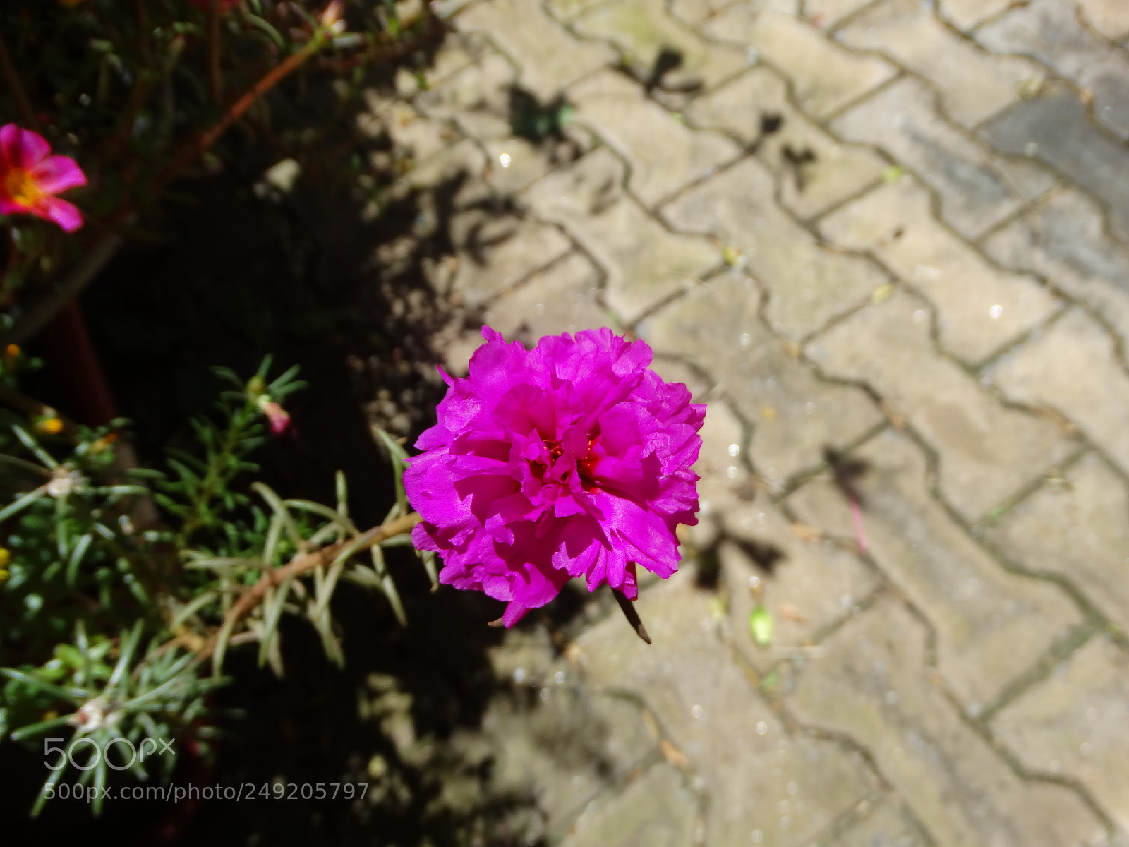 Sony Cyber-shot DSC-HX300 sample photo. Untitled photography