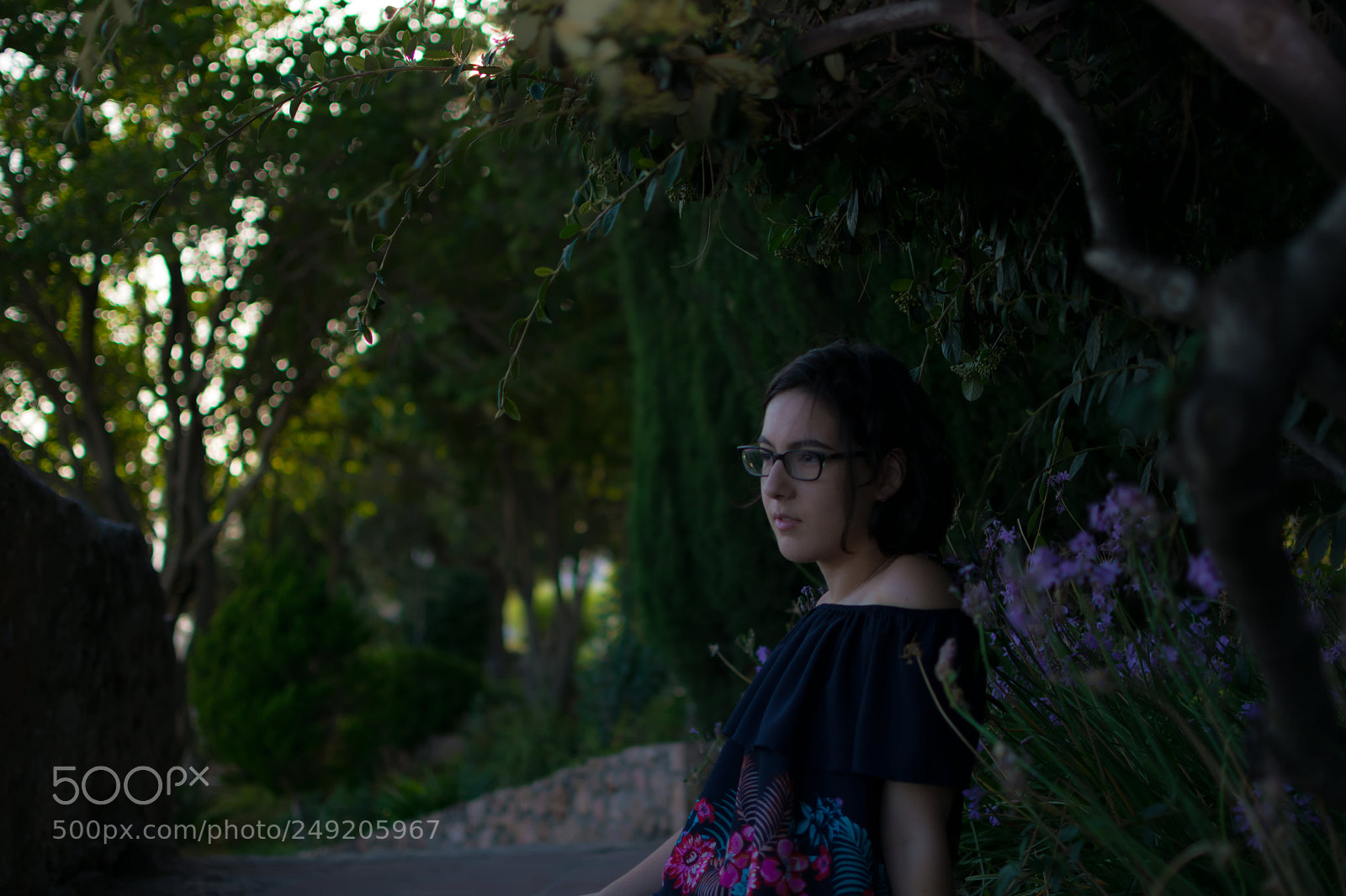 Nikon D5300 sample photo. Untitled photography