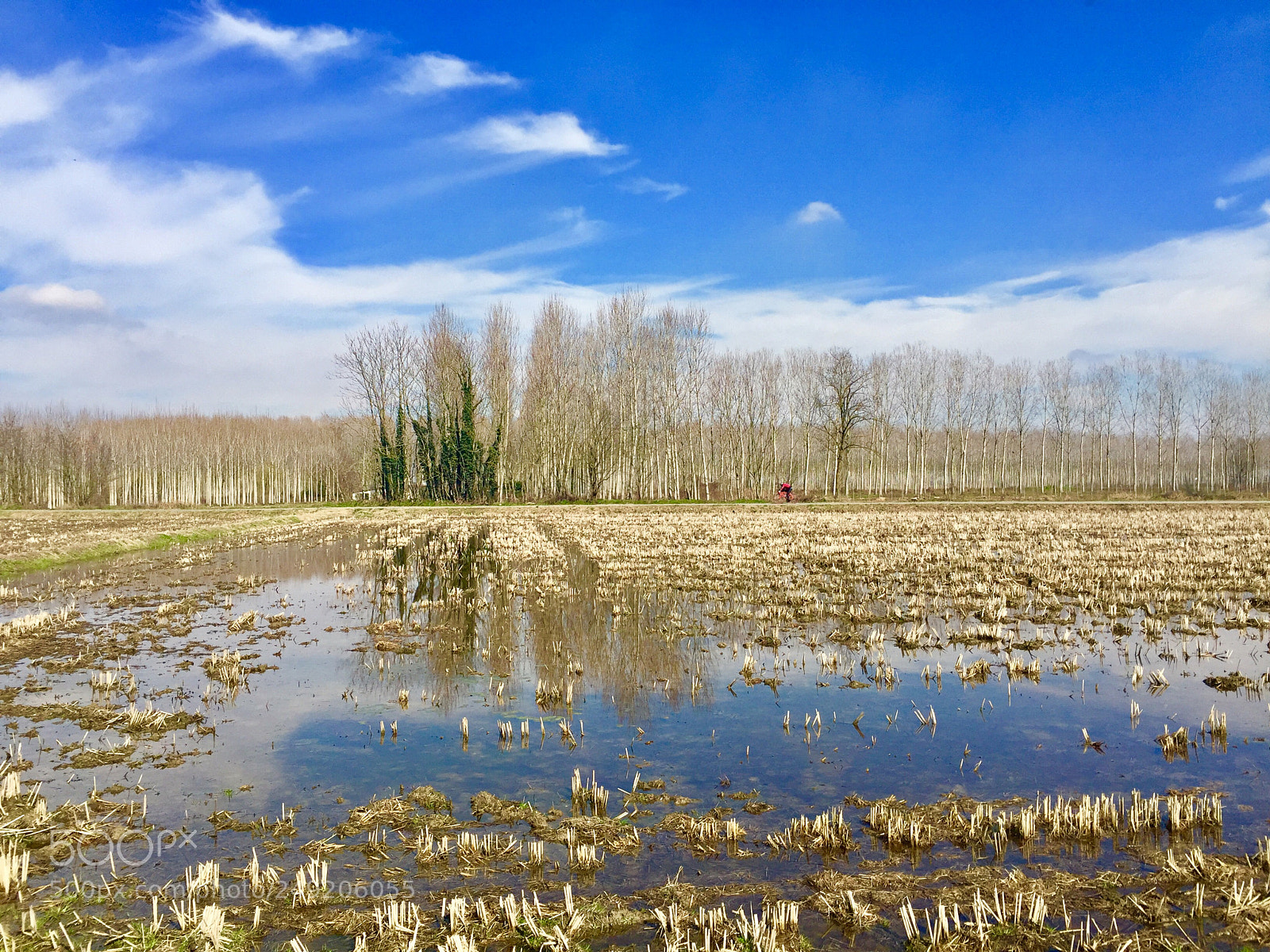 Apple iPhone 6 Plus sample photo. Campagna lombarda. photography
