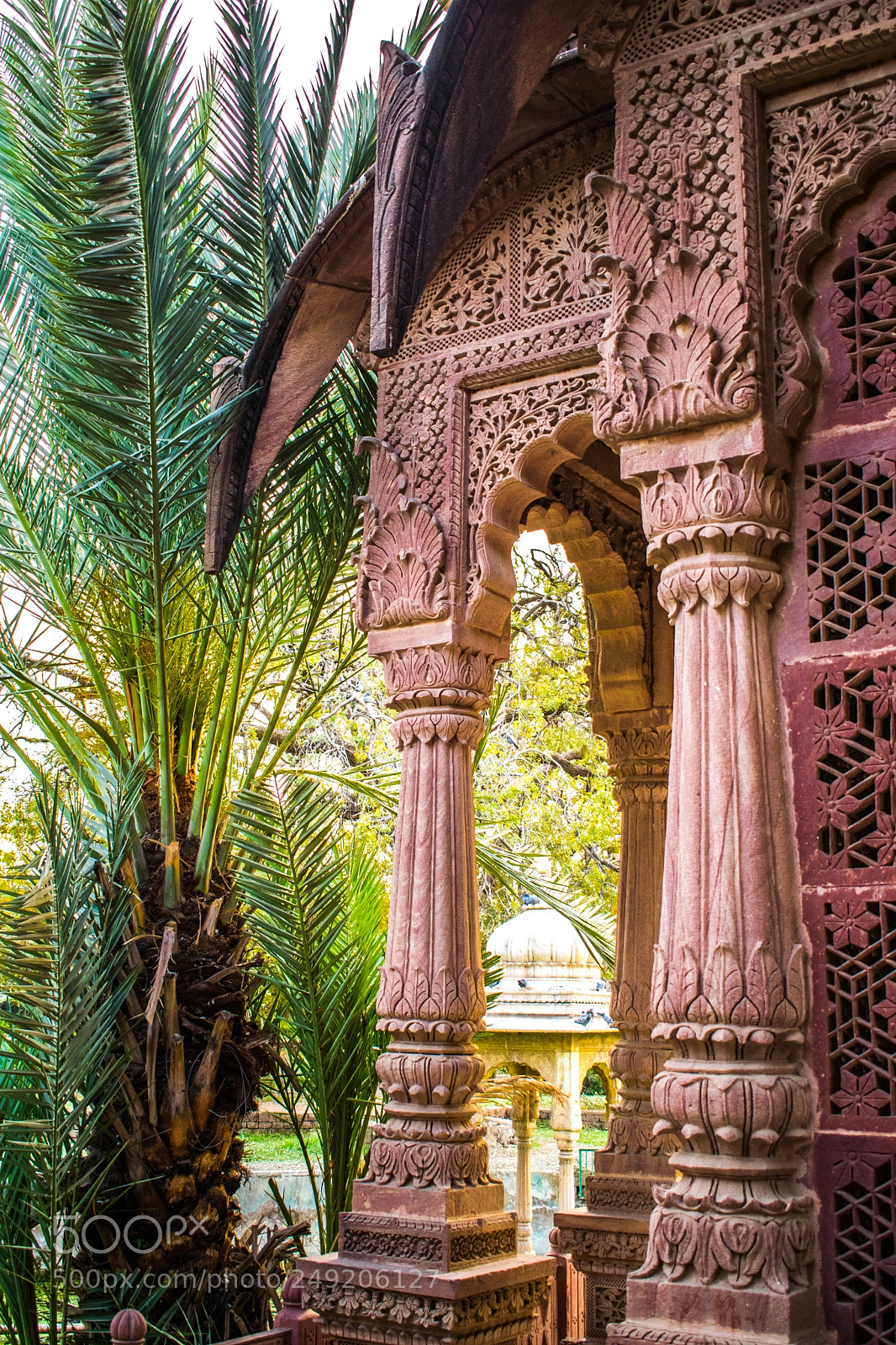 Nikon D5300 sample photo. Mandore garden photography