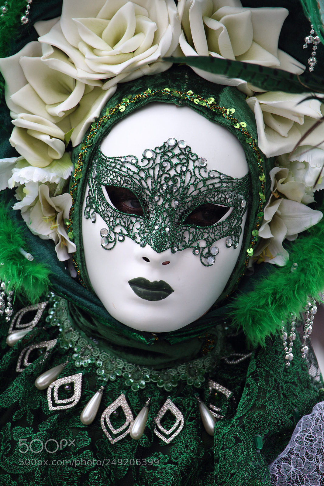 Canon EOS 100D (EOS Rebel SL1 / EOS Kiss X7) sample photo. Carnivalesque green photography
