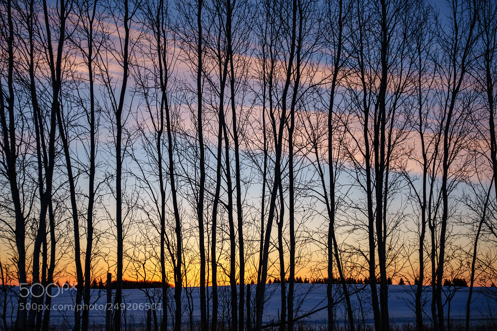 Sony Cyber-shot DSC-RX100 II sample photo. Sunrise landscape - 03-13-2018 photography