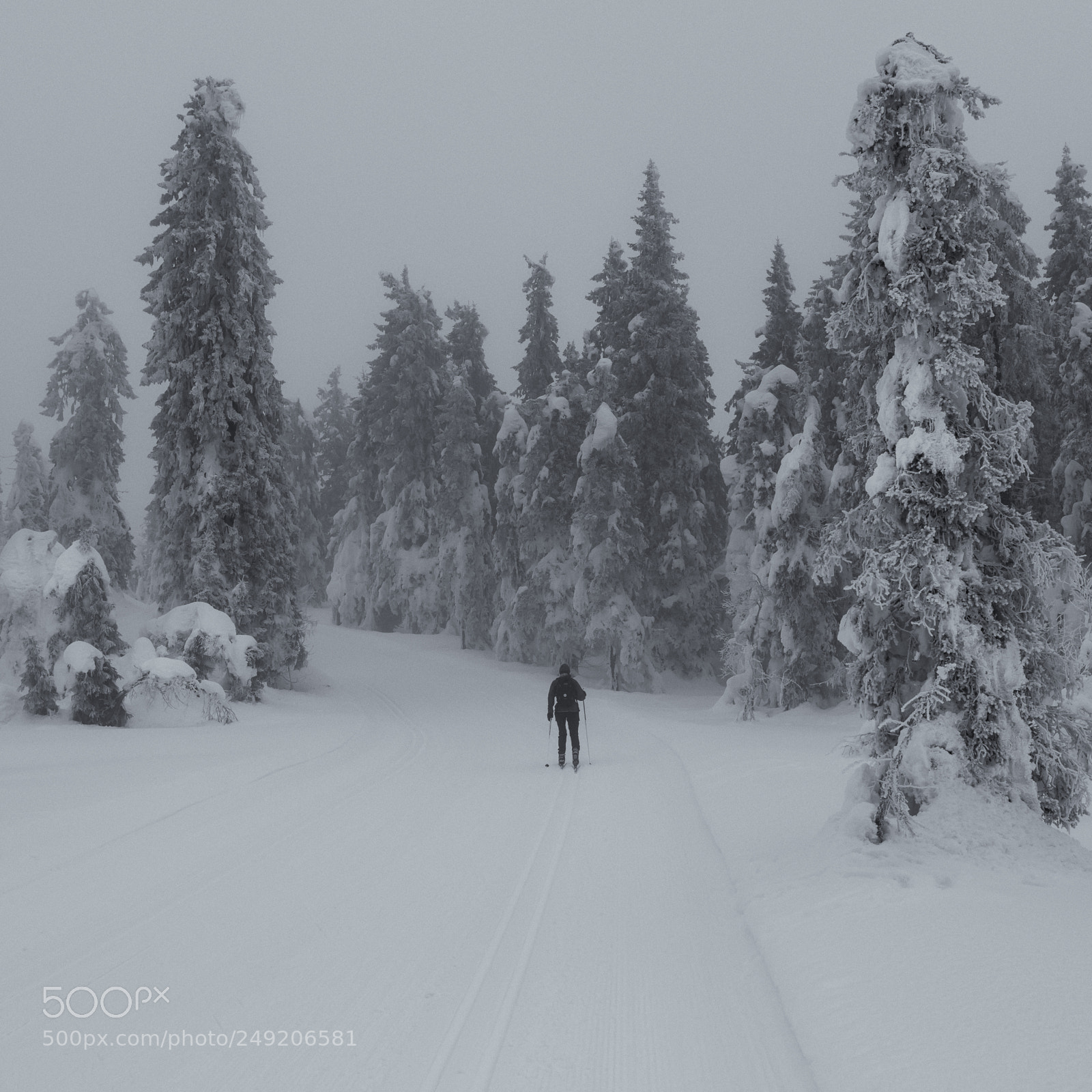 Nikon D810 sample photo. Winter mood v photography