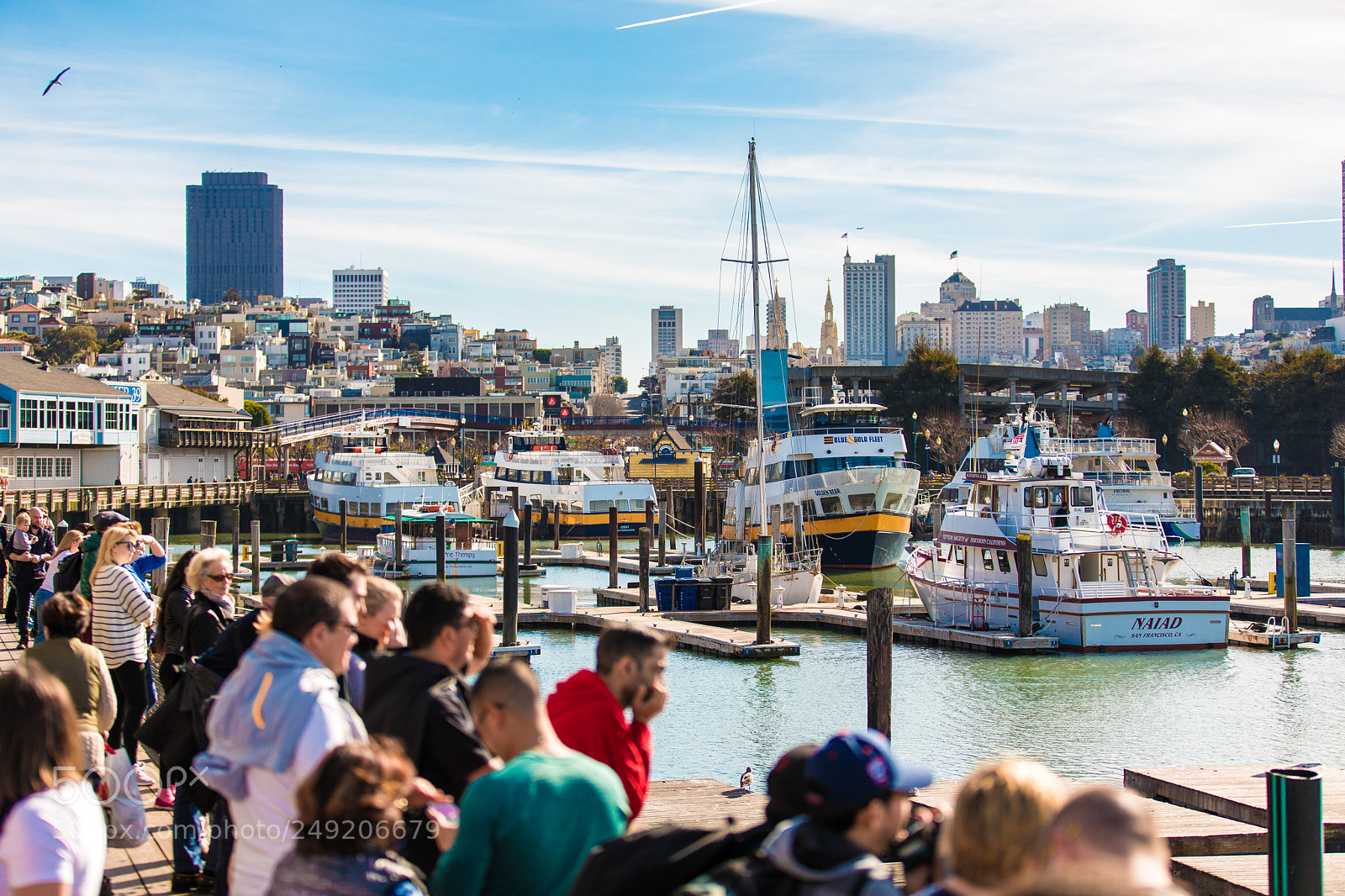 Canon EOS 5D Mark IV sample photo. Sf city view from photography