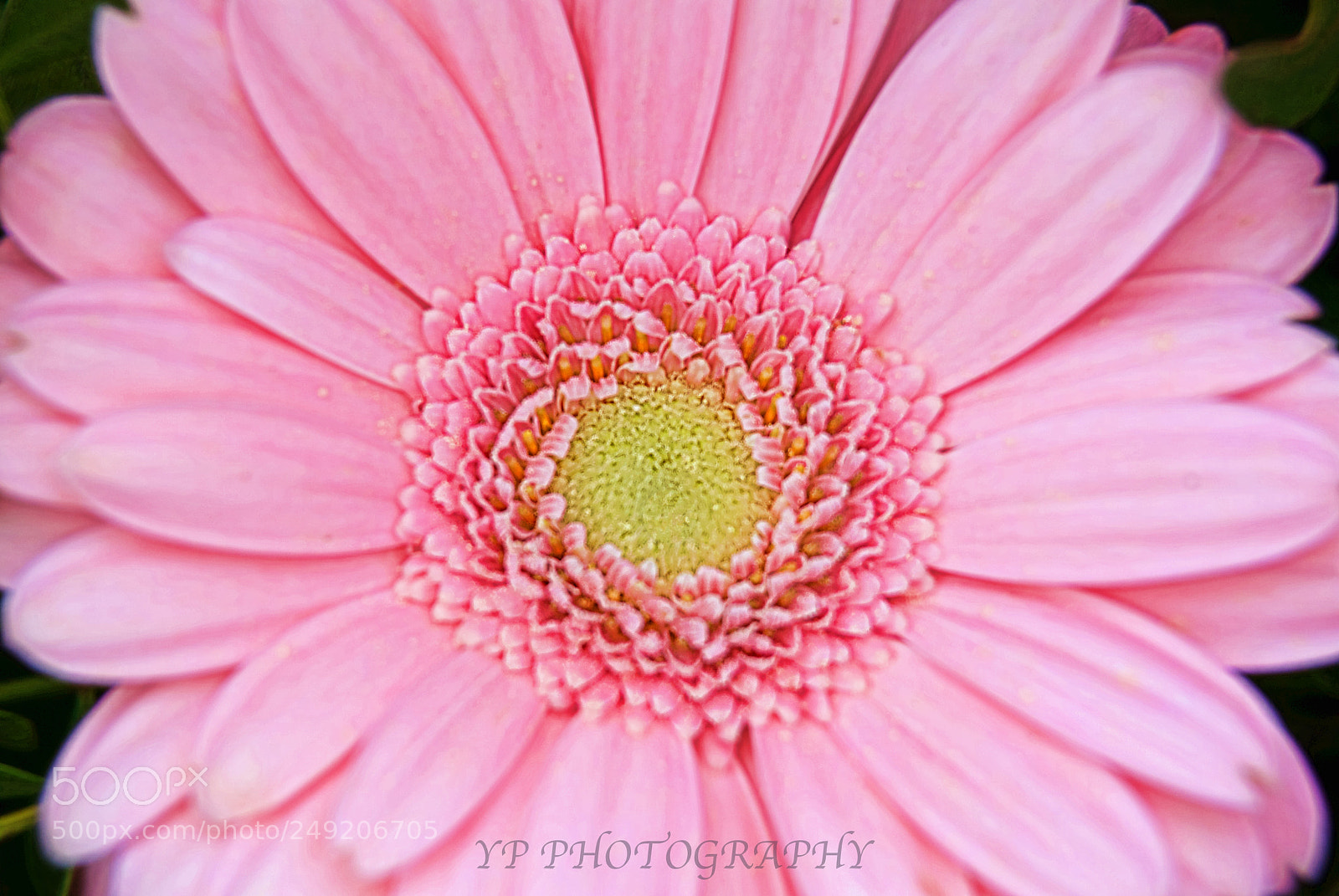 Nikon D200 sample photo. Untitled photography