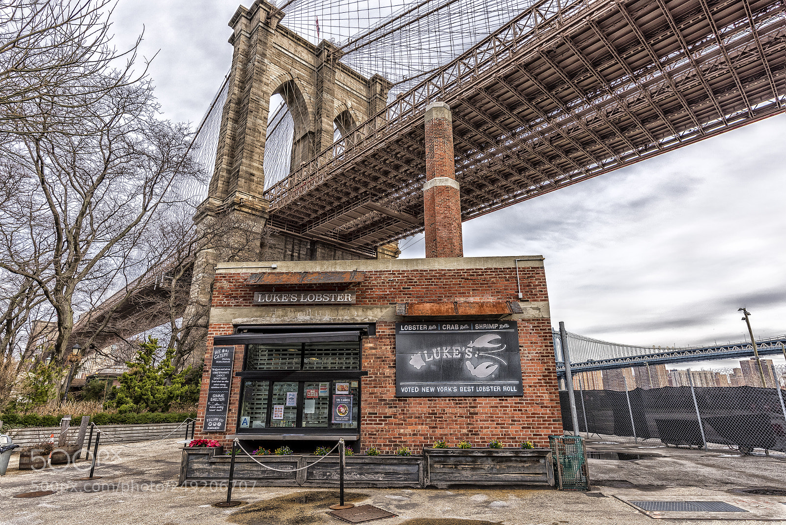 Nikon D810 sample photo. Us nyc lukes lobsters photography