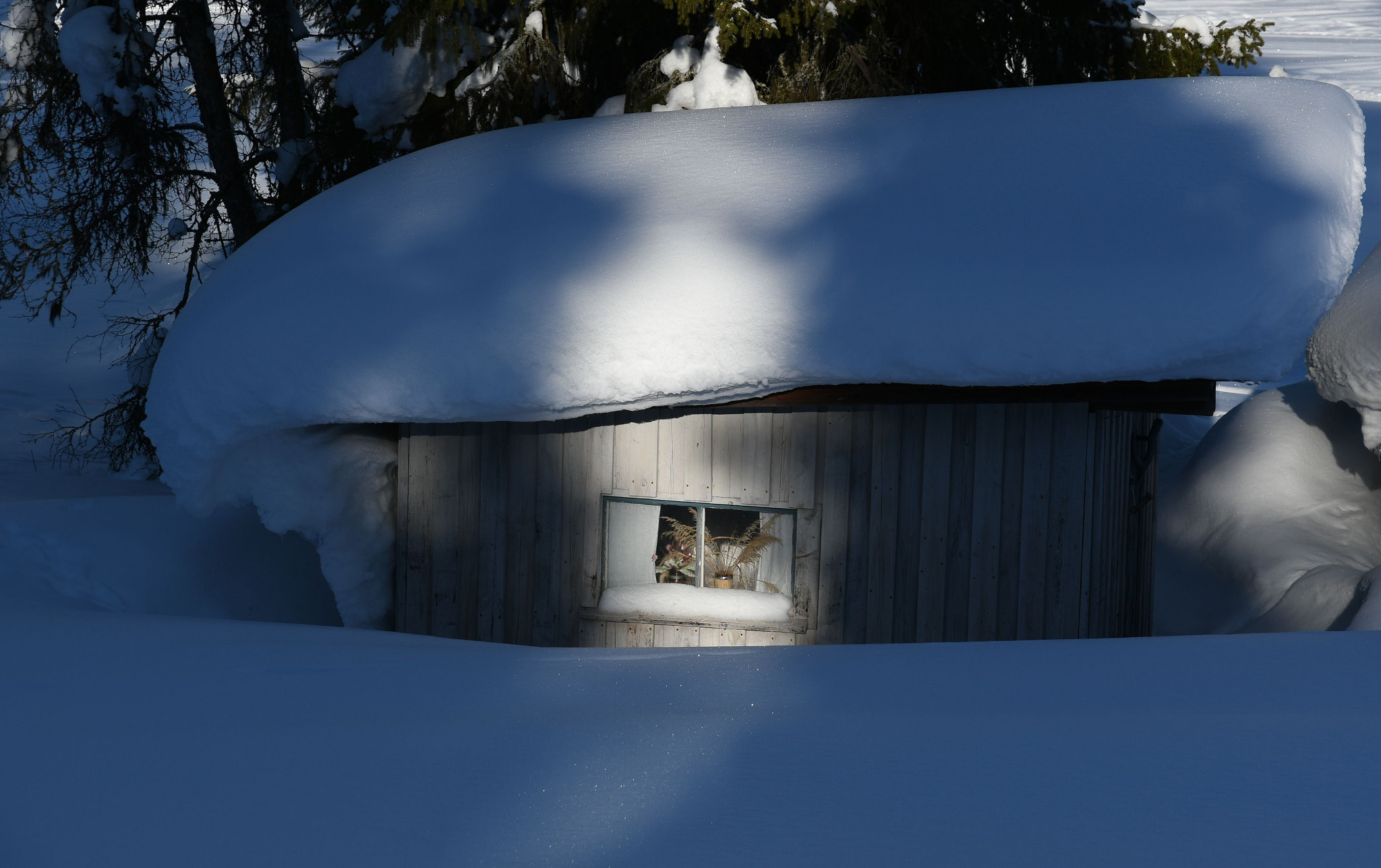 Nikon D7500 sample photo. Cabin under heavy snow photography