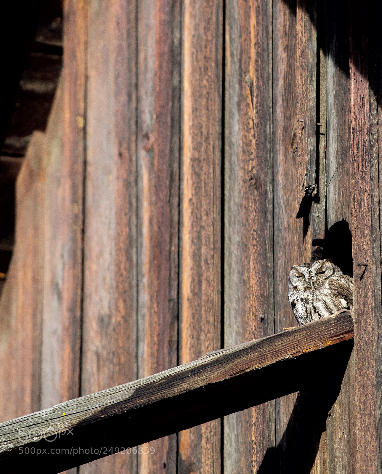 Pentax K-3 sample photo. Untitled photography