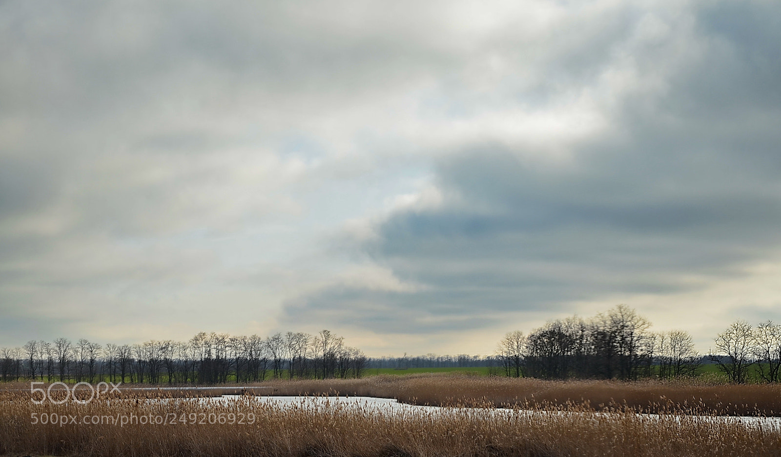Nikon D5100 sample photo. Untitled photography