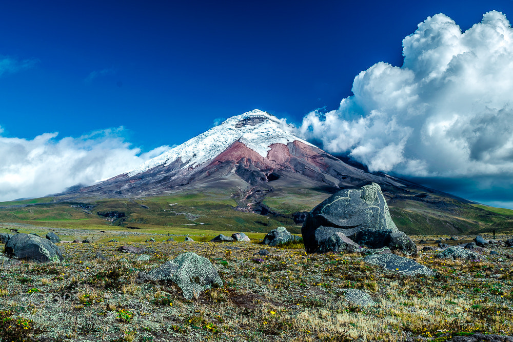 Nikon D3300 sample photo. Chimborazo photography