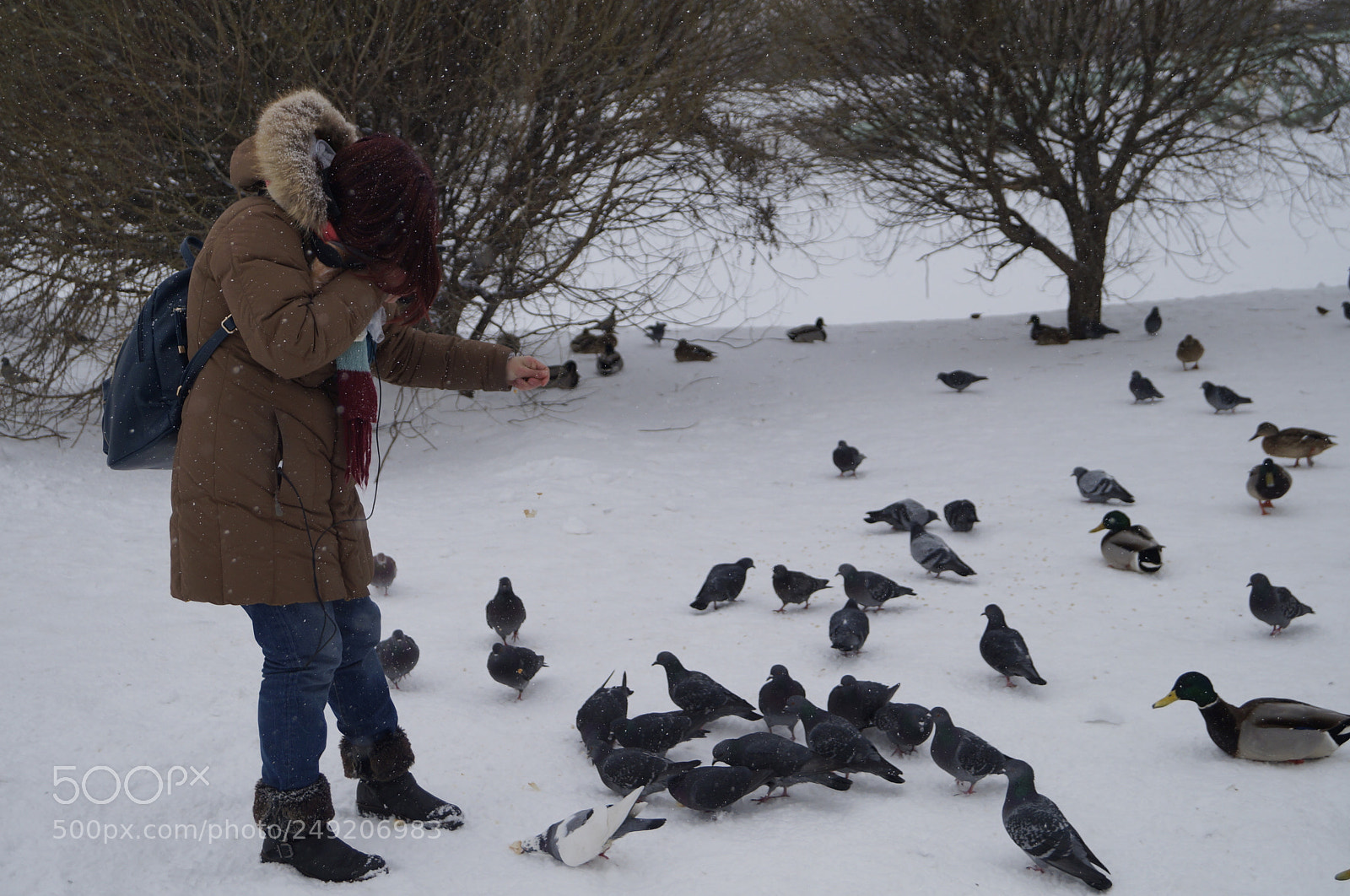 Sony SLT-A57 sample photo. Untitled photography