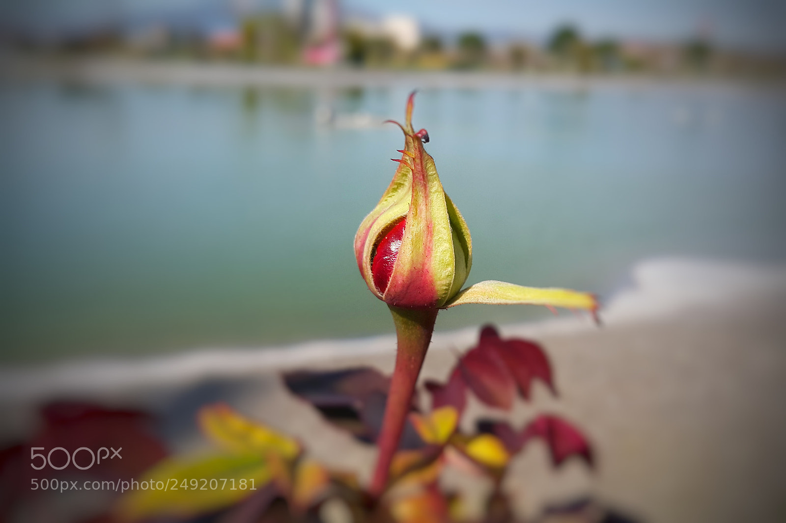 Samsung Galaxy Note4 sample photo. Karacabey bursa photography