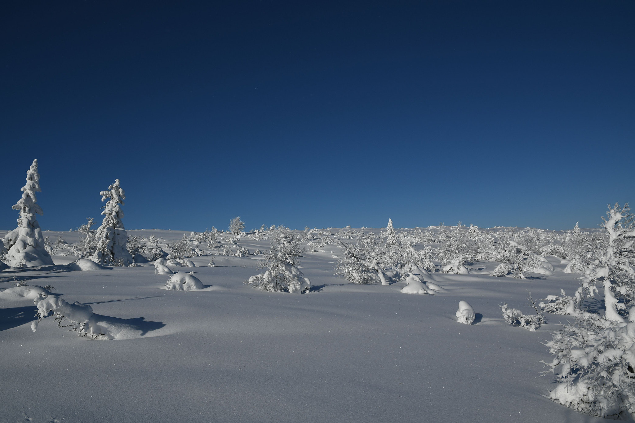 Nikon D7500 sample photo. Magic winterlandscape photography