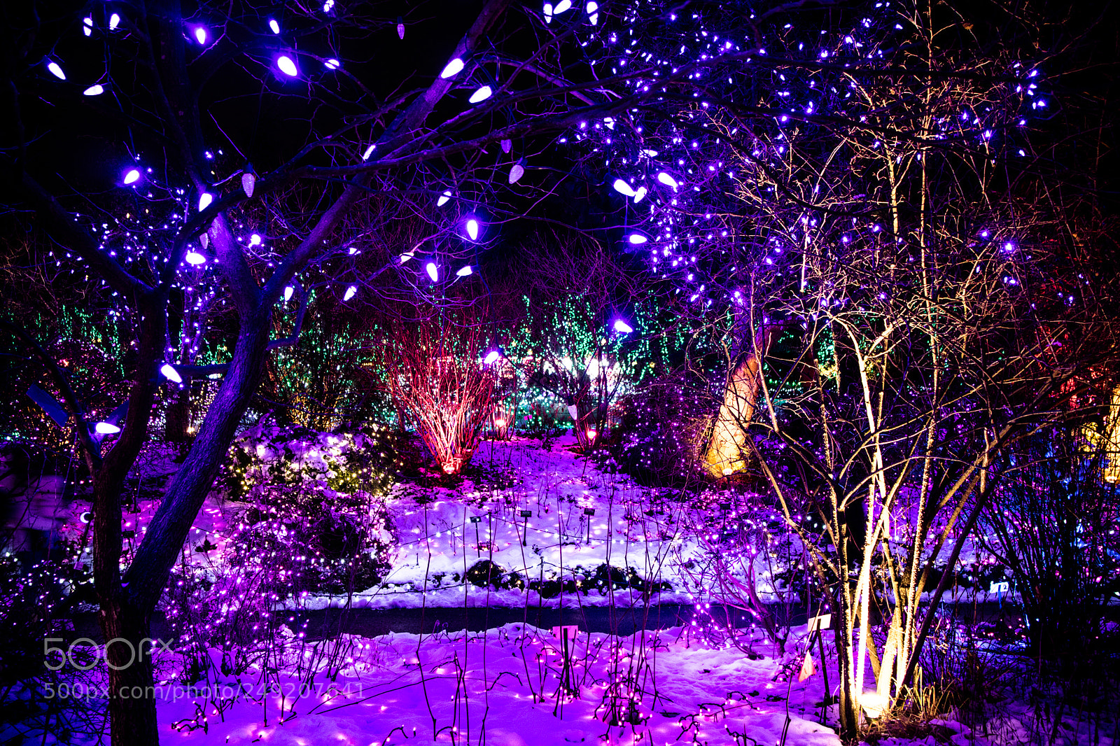 Canon EOS M3 sample photo. Light park with lots photography