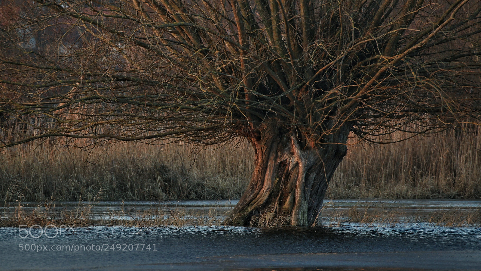 Canon EOS-1D Mark IV sample photo. Untitled photography