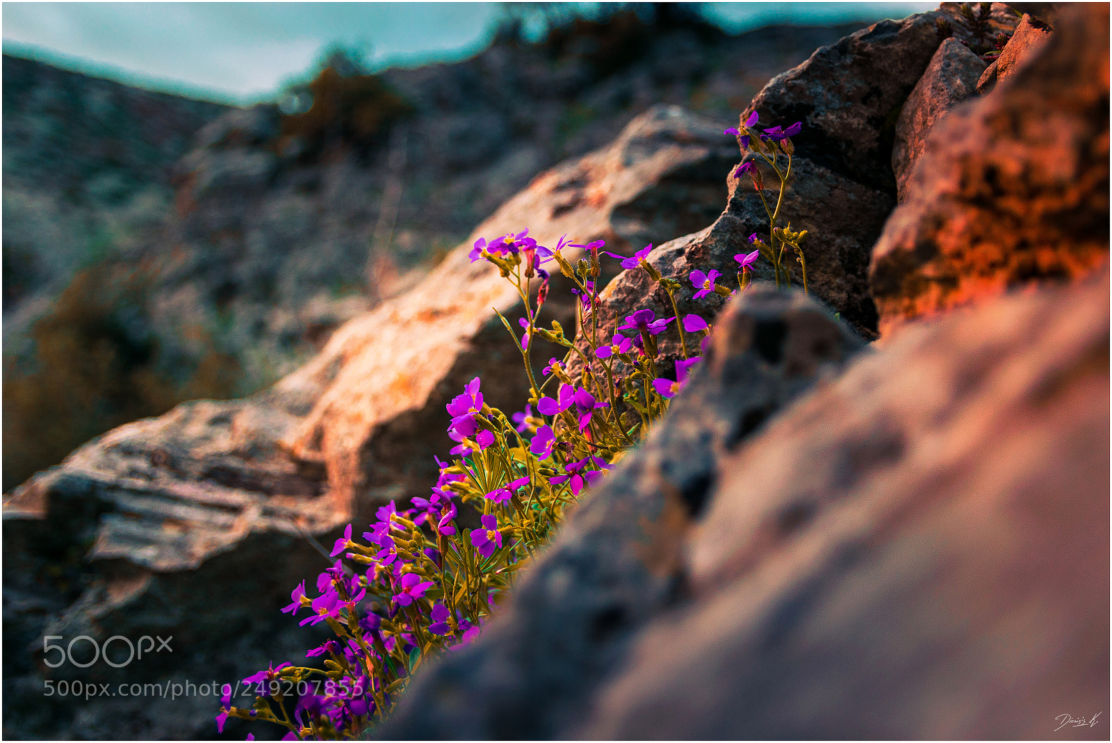 Nikon D5300 sample photo. Sunbeam on the rock photography