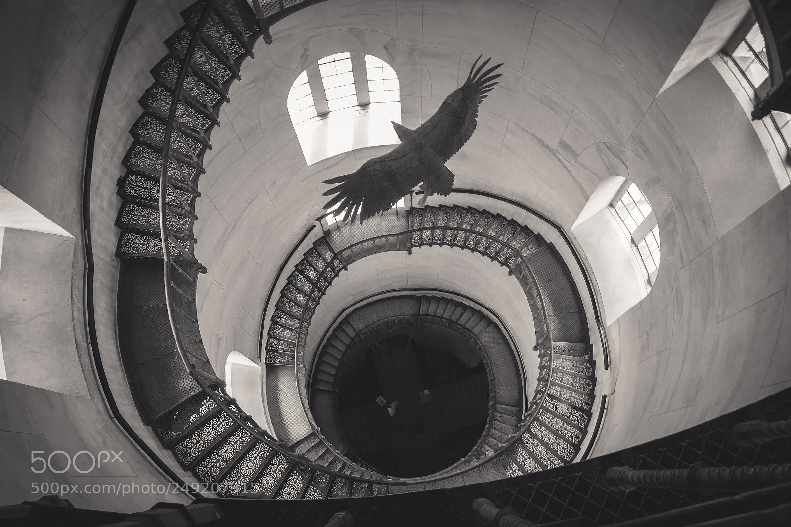 Canon EOS 700D (EOS Rebel T5i / EOS Kiss X7i) sample photo. Flying eagle photography