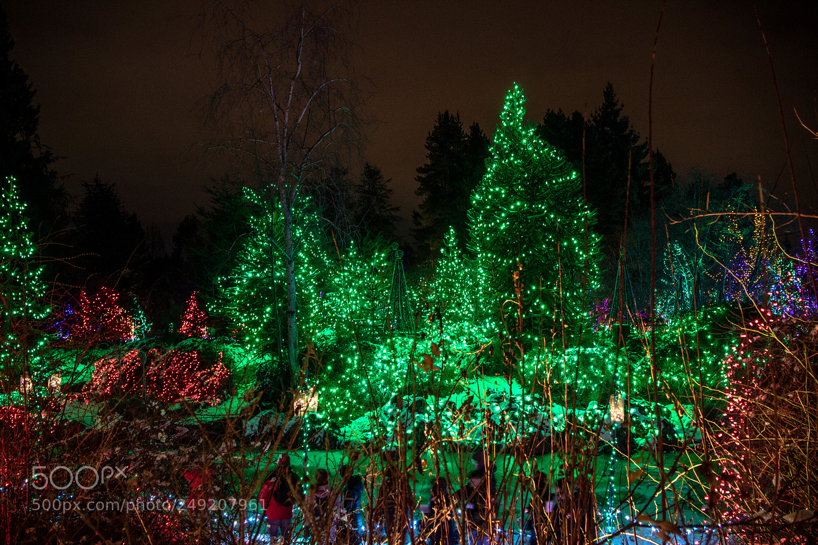 Canon EOS M3 sample photo. Light park with lots photography