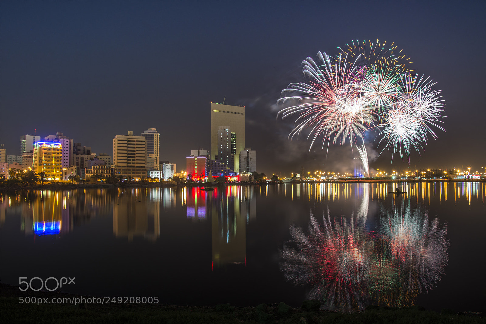 Nikon D610 sample photo. Fireworks photography