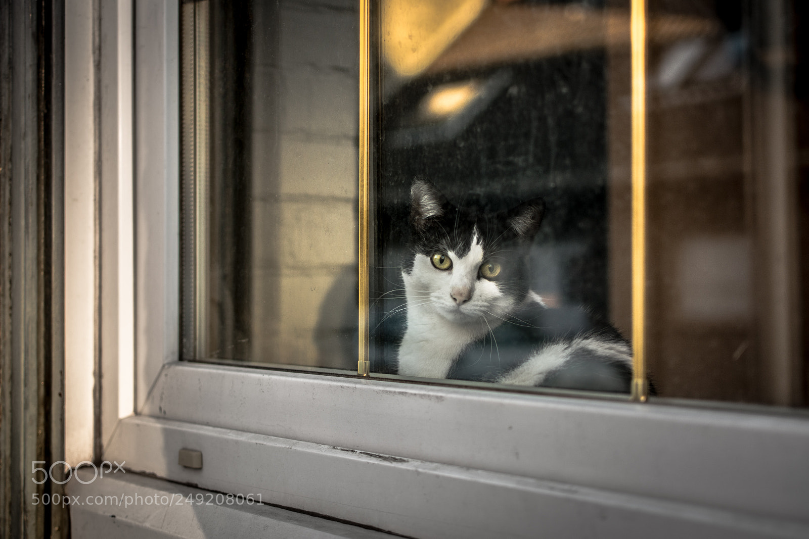 Nikon D5200 sample photo. The deep look photography
