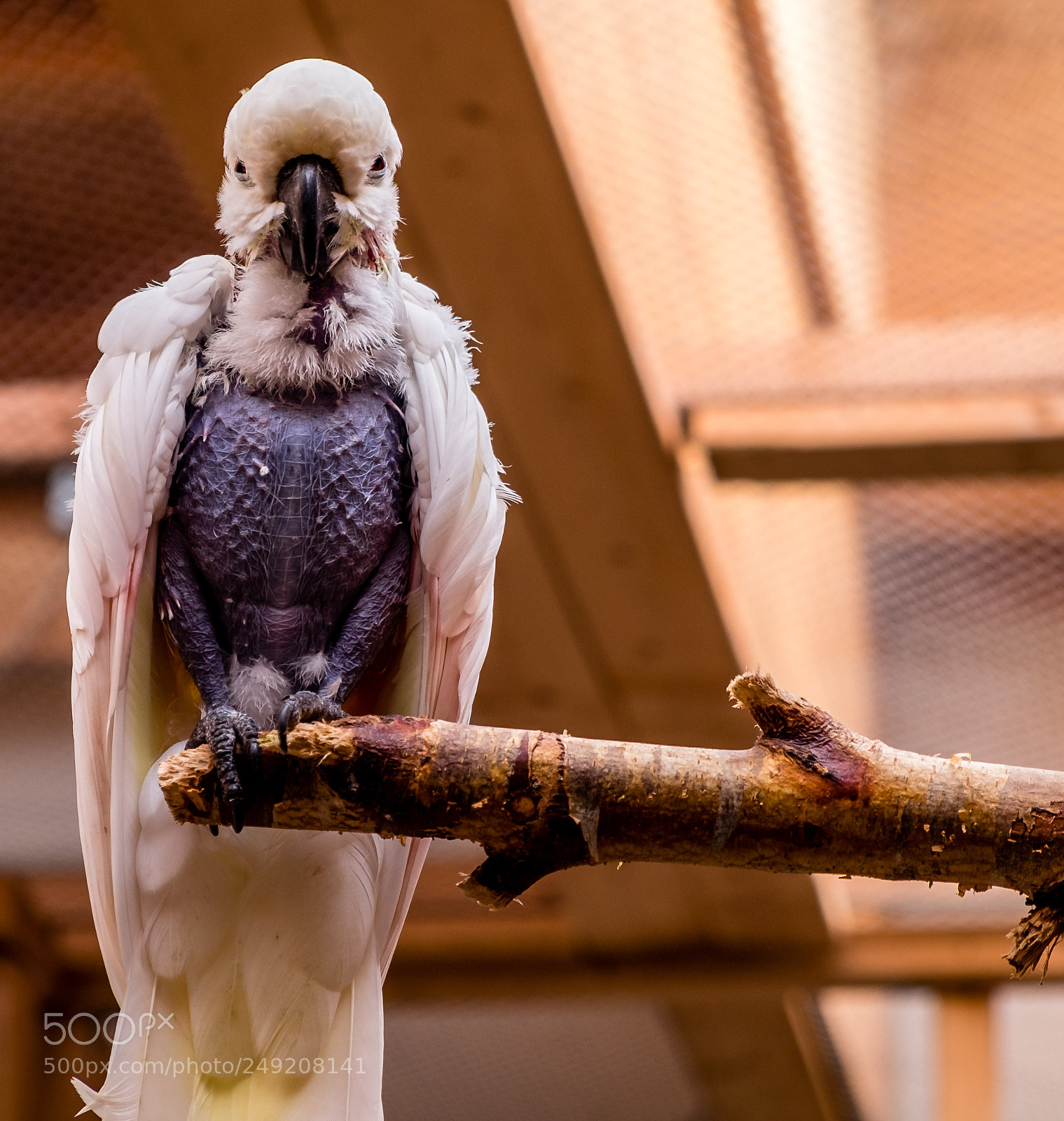 Fujifilm X-E2 sample photo. Where the hell are photography