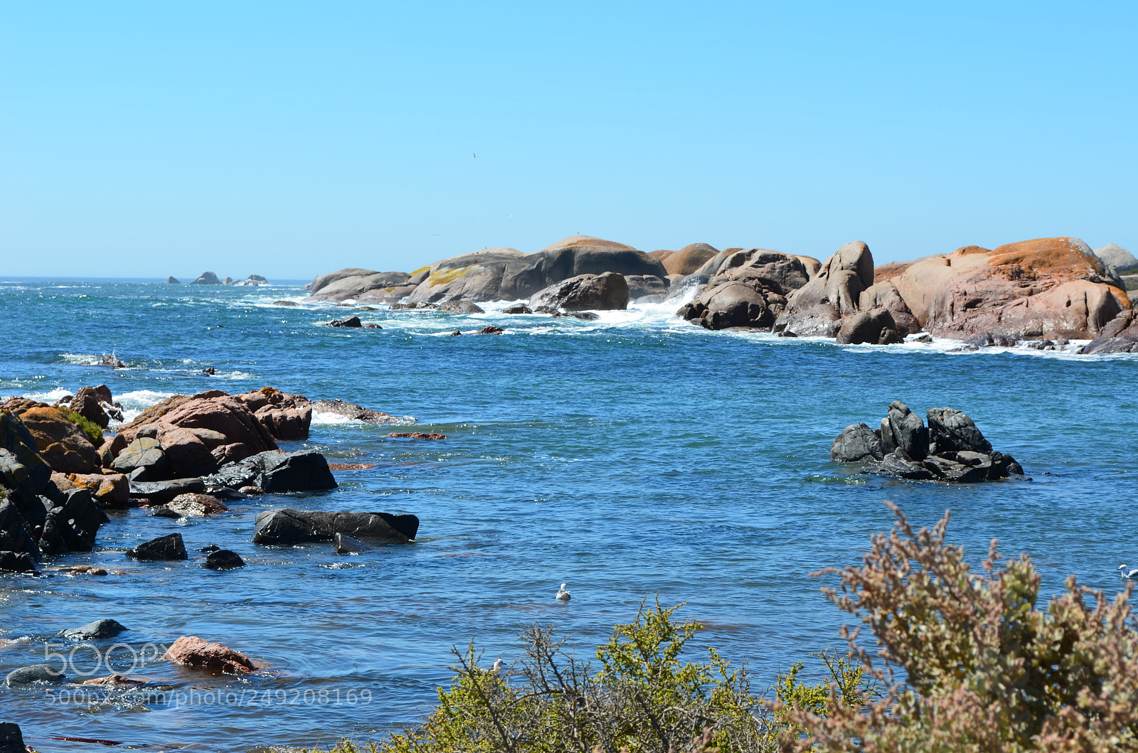 Nikon D5100 sample photo. West coast1 photography