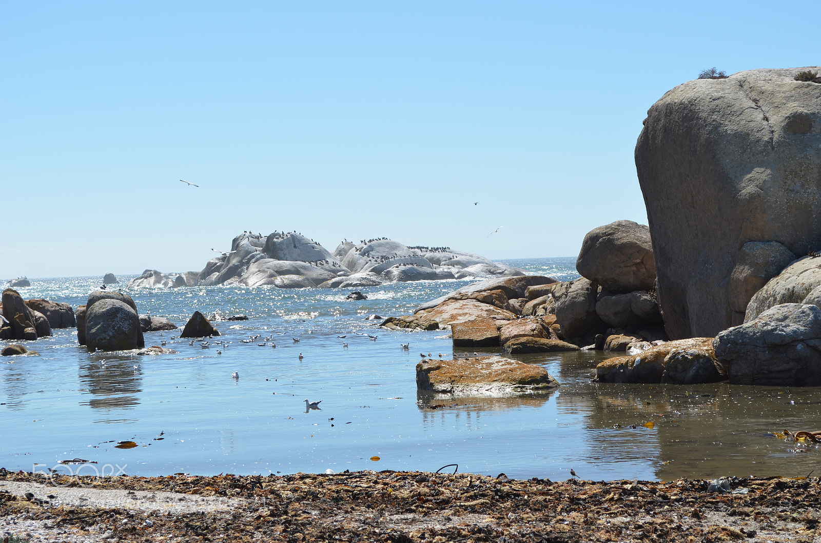 Nikon D5100 sample photo. West coast 2 photography