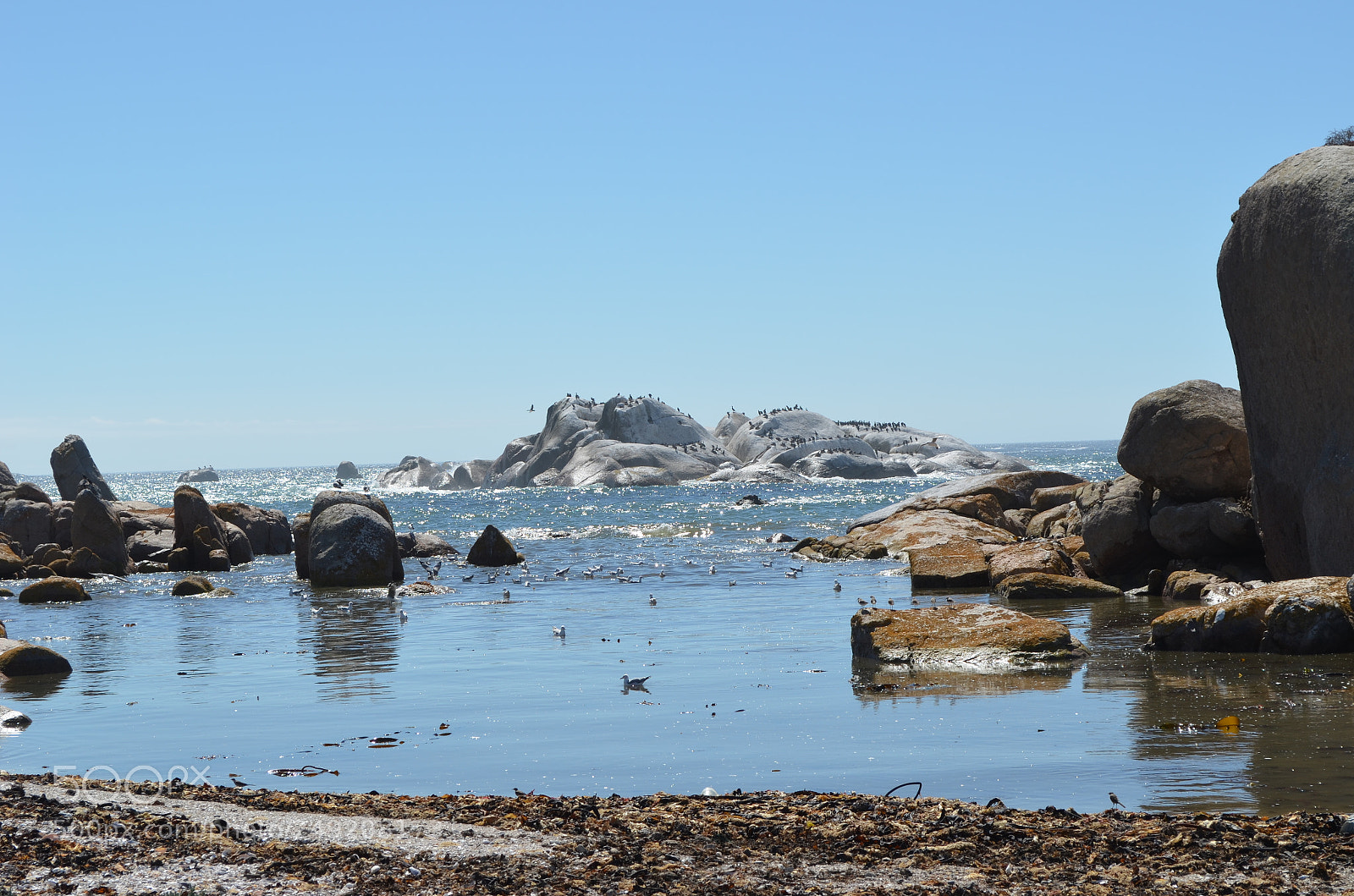Nikon D5100 sample photo. West coast 3 photography