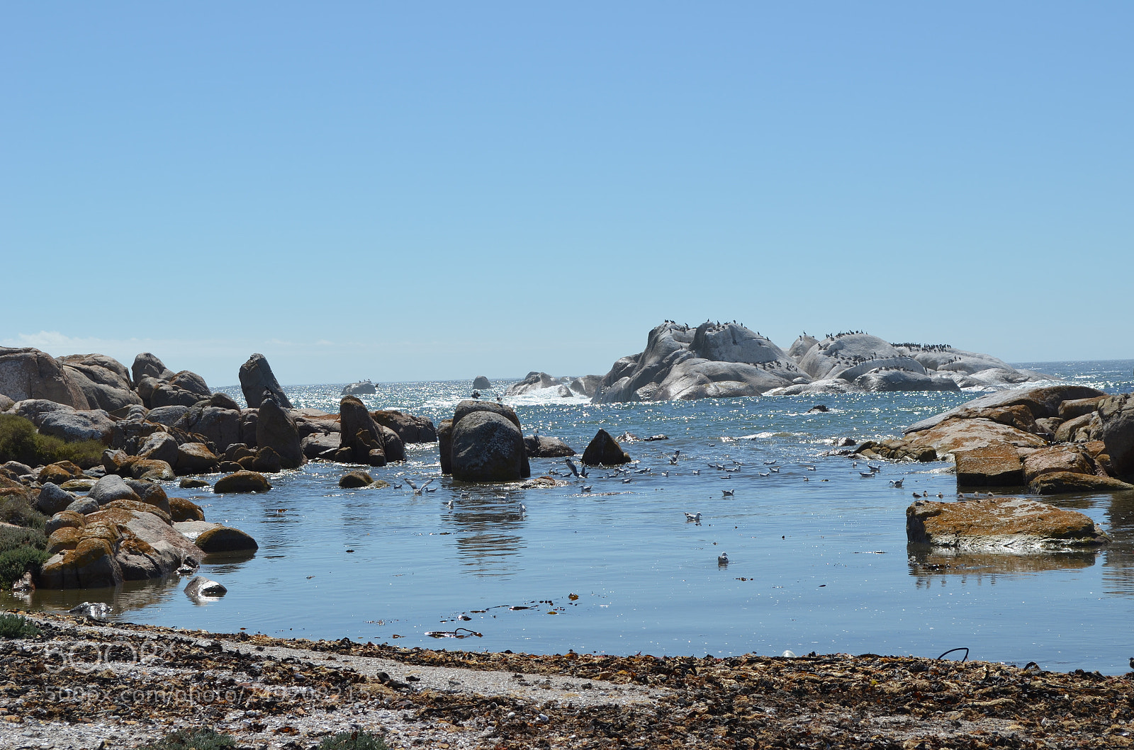 Nikon D5100 sample photo. West coast 4 photography