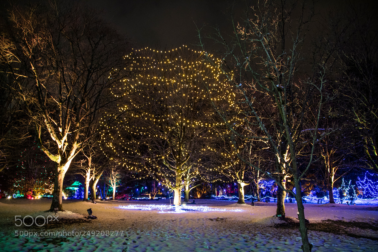 Canon EOS M3 sample photo. Light park with lots photography
