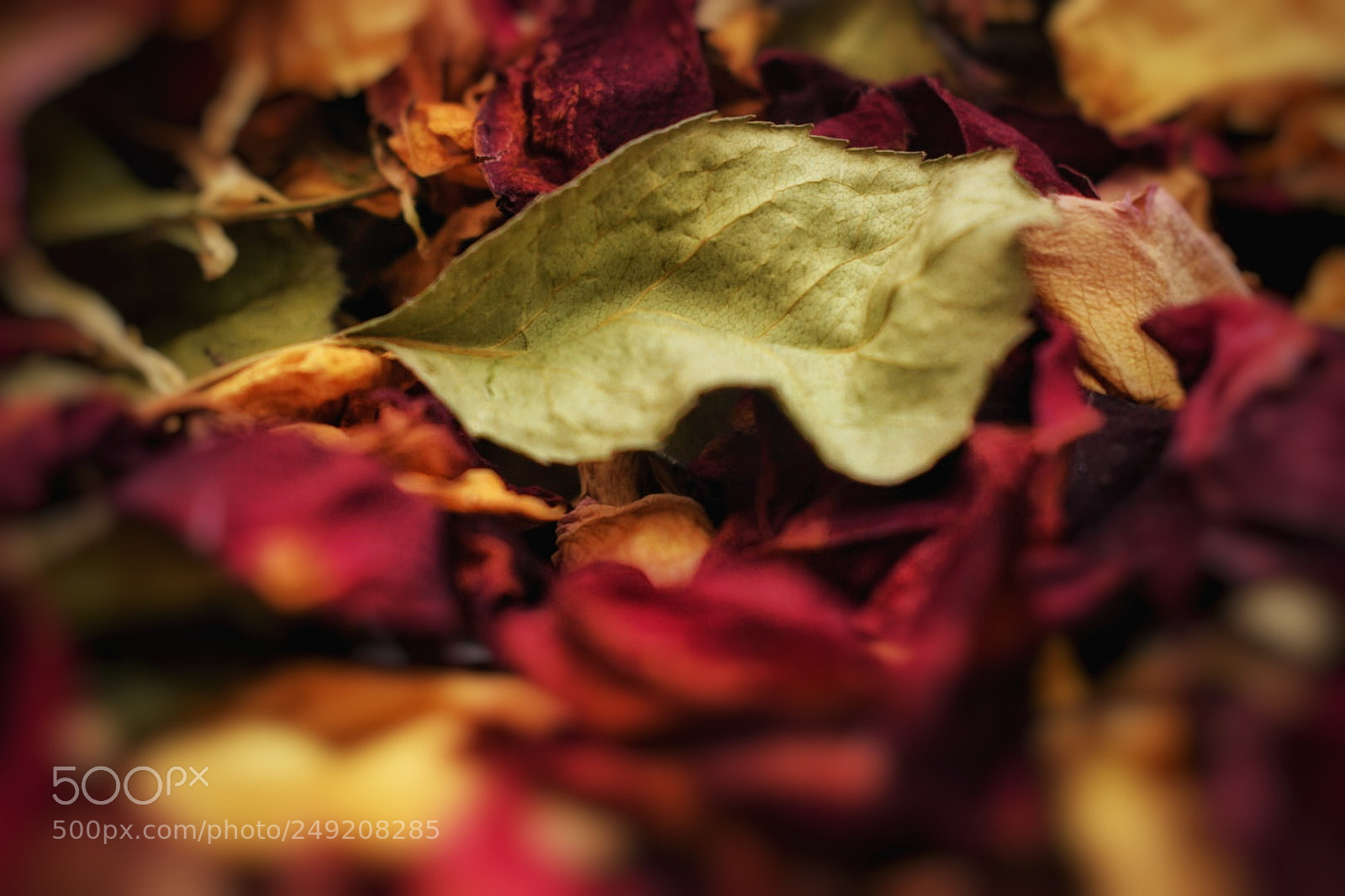 Nikon D5300 sample photo. Untitled photography