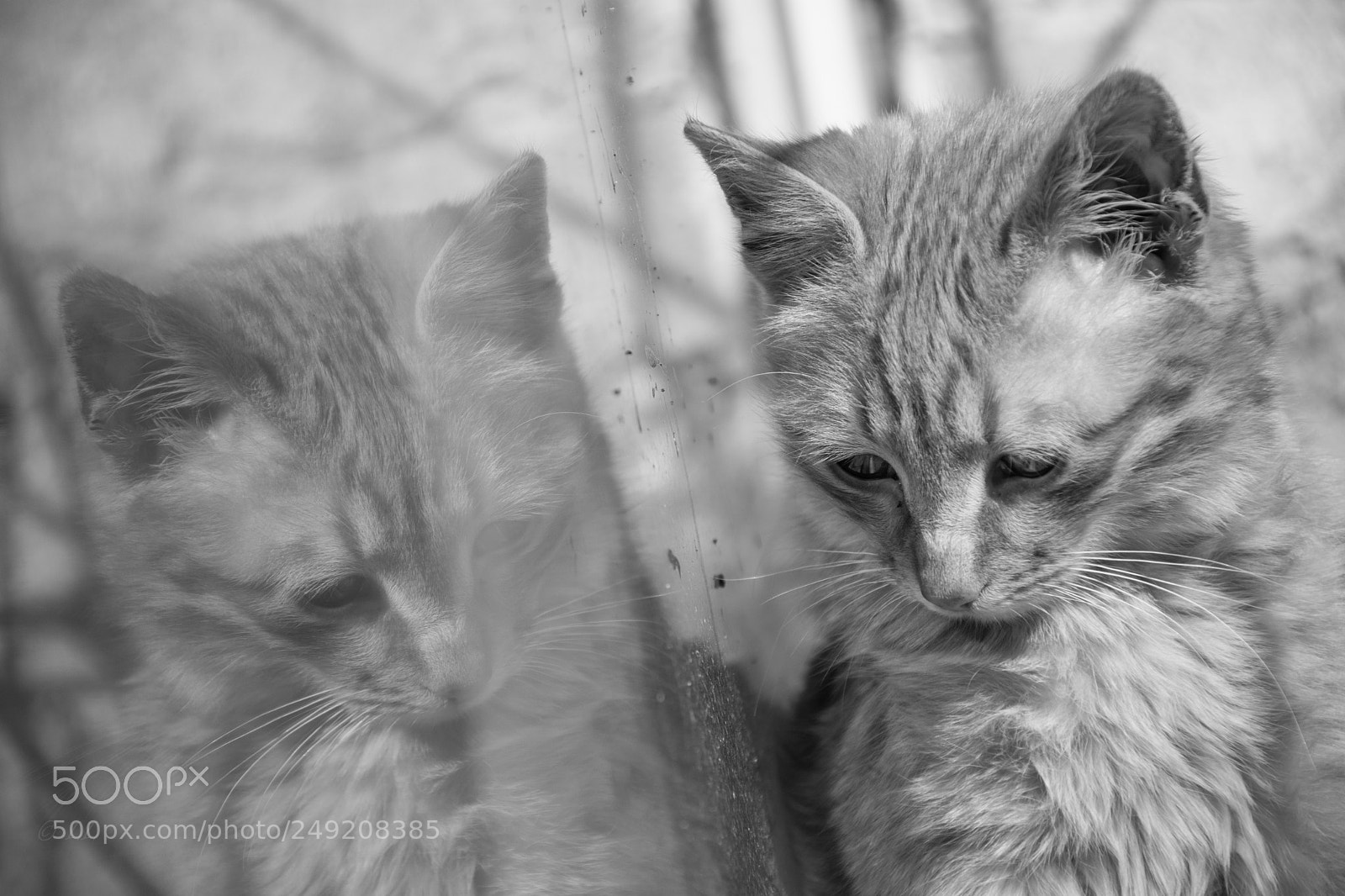 Nikon D7100 sample photo. Reflection photography