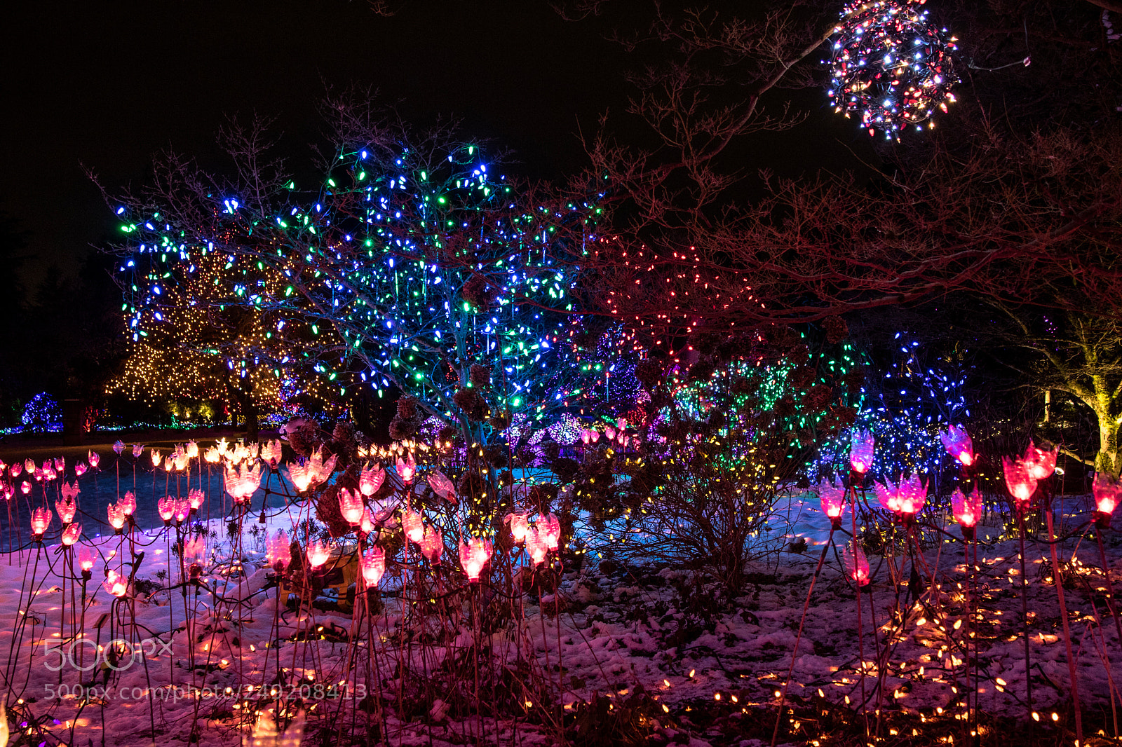 Canon EOS M3 sample photo. Light park with lots photography