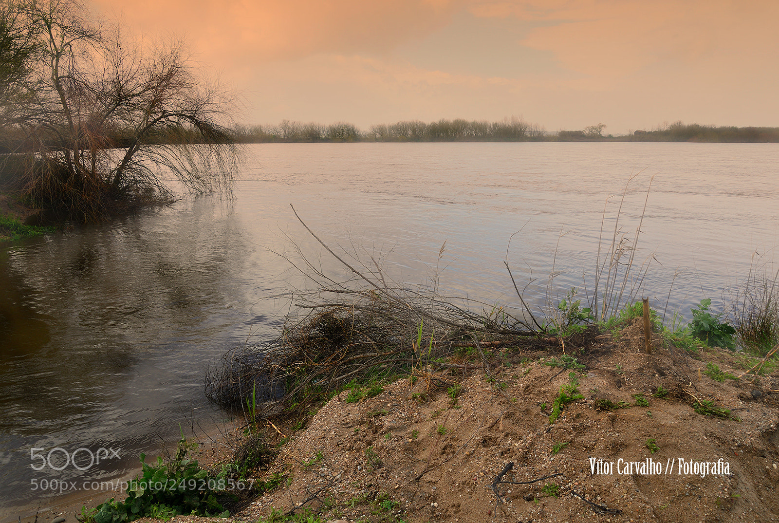 Nikon D800 sample photo. Tejo photography