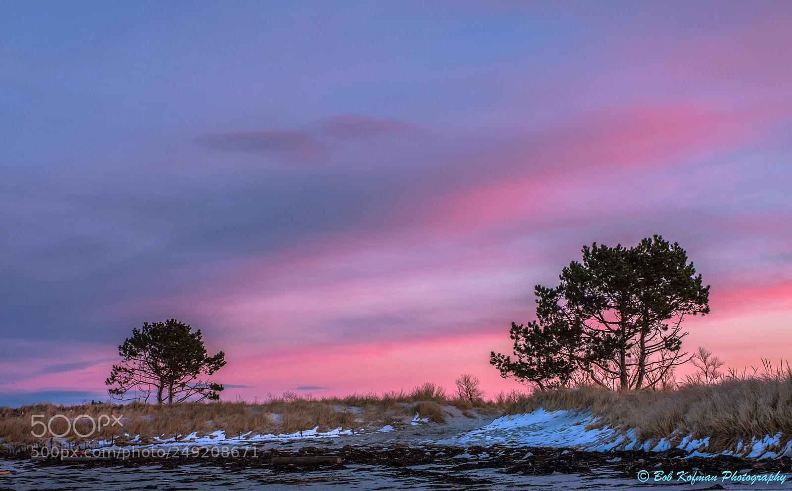 Fujifilm X-T2 sample photo. Tress at sunset photography
