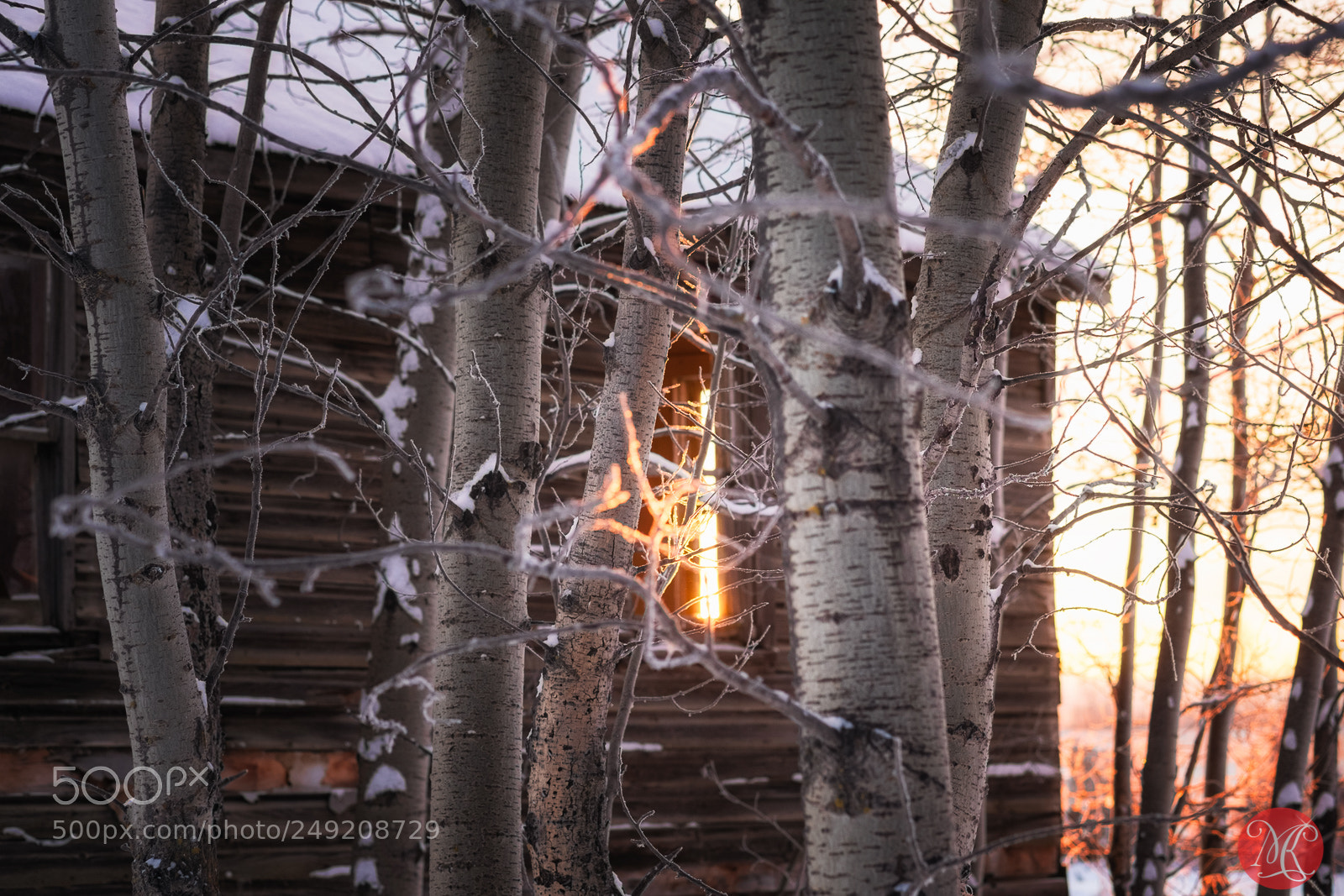 Fujifilm X-E2 sample photo. Light through photography