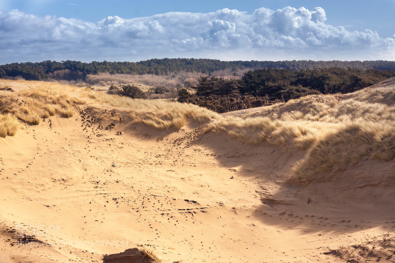 Canon EOS 50D sample photo. Formby beach photography