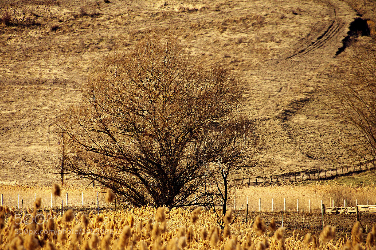Pentax K-3 sample photo. After winter photography